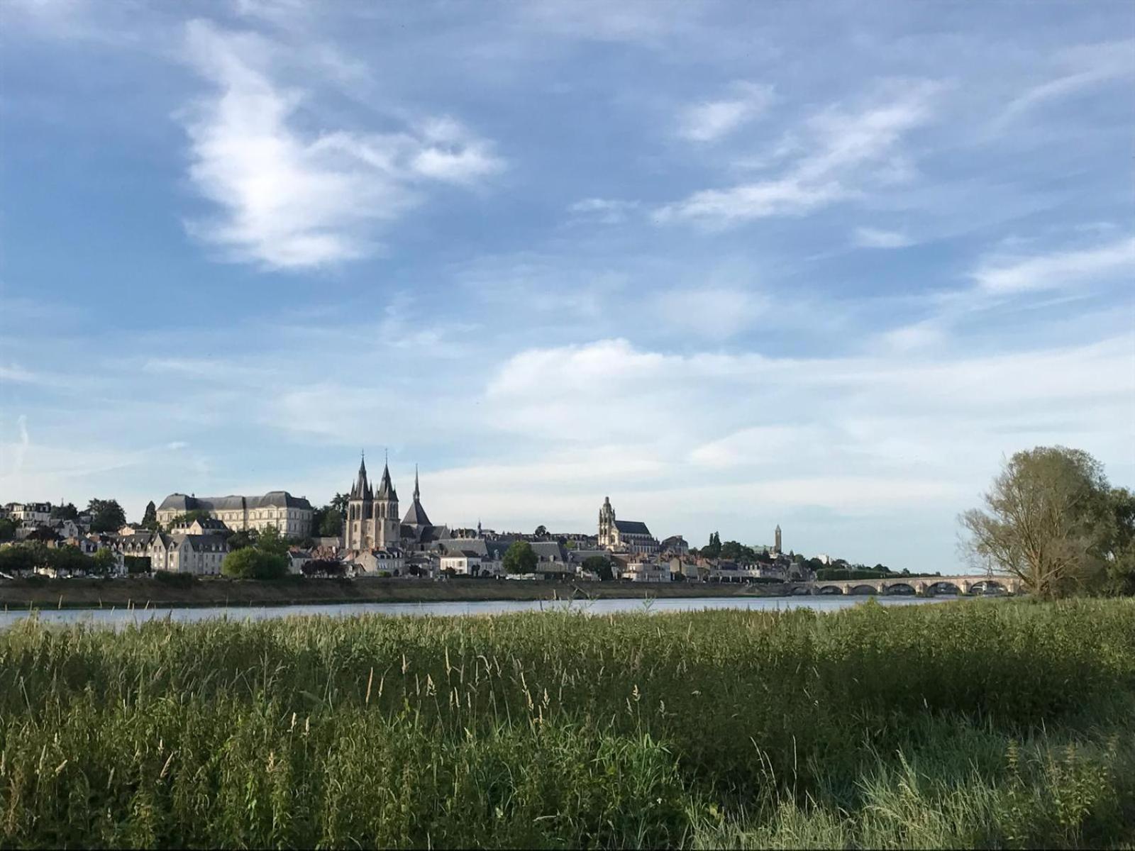 Quai De La Loire Apartment บลัวส์ ภายนอก รูปภาพ