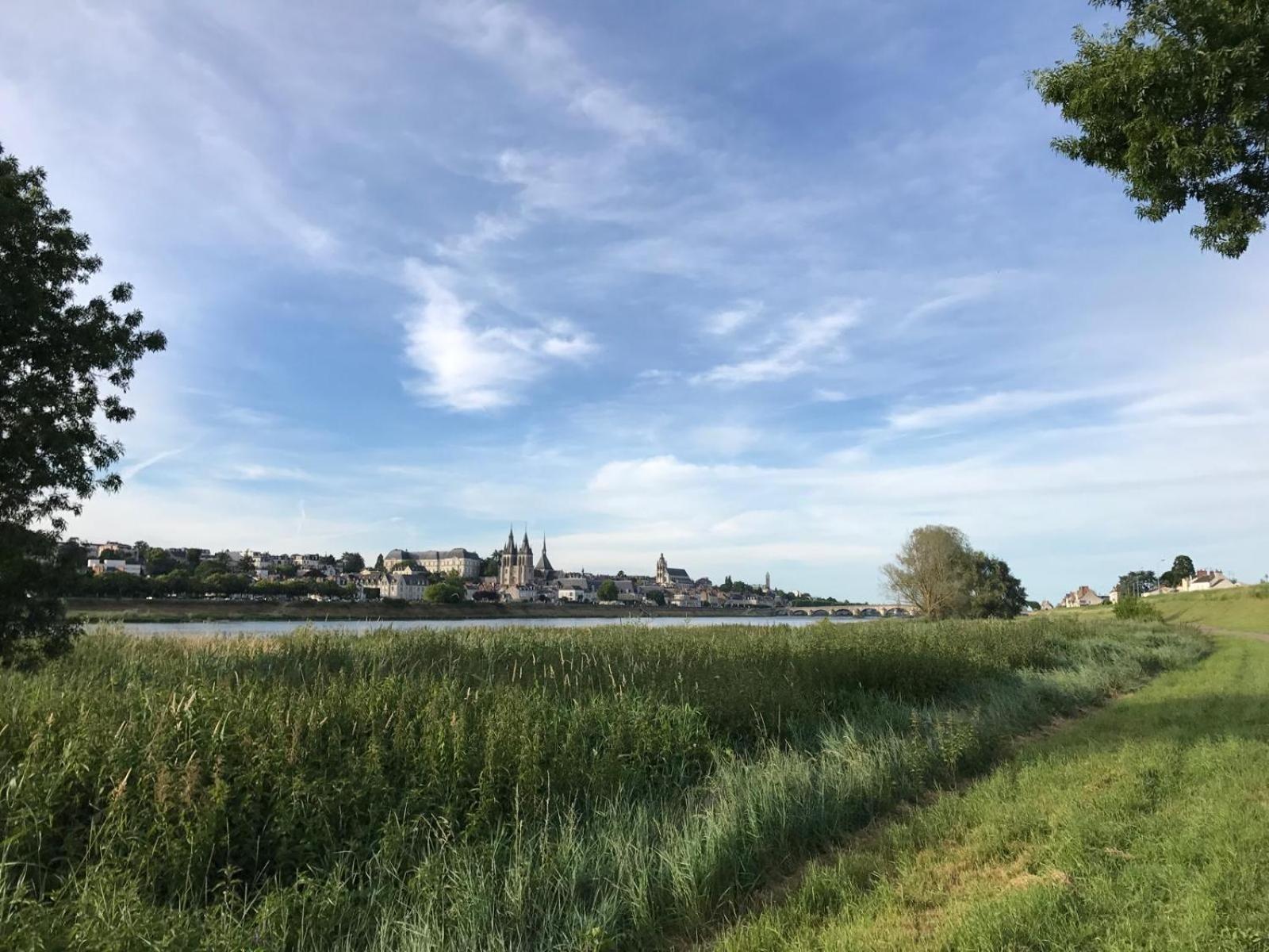 Quai De La Loire Apartment บลัวส์ ภายนอก รูปภาพ