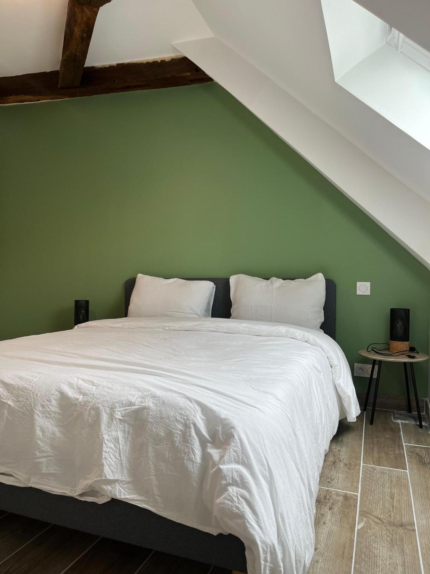 Quai De La Loire Apartment บลัวส์ ภายนอก รูปภาพ