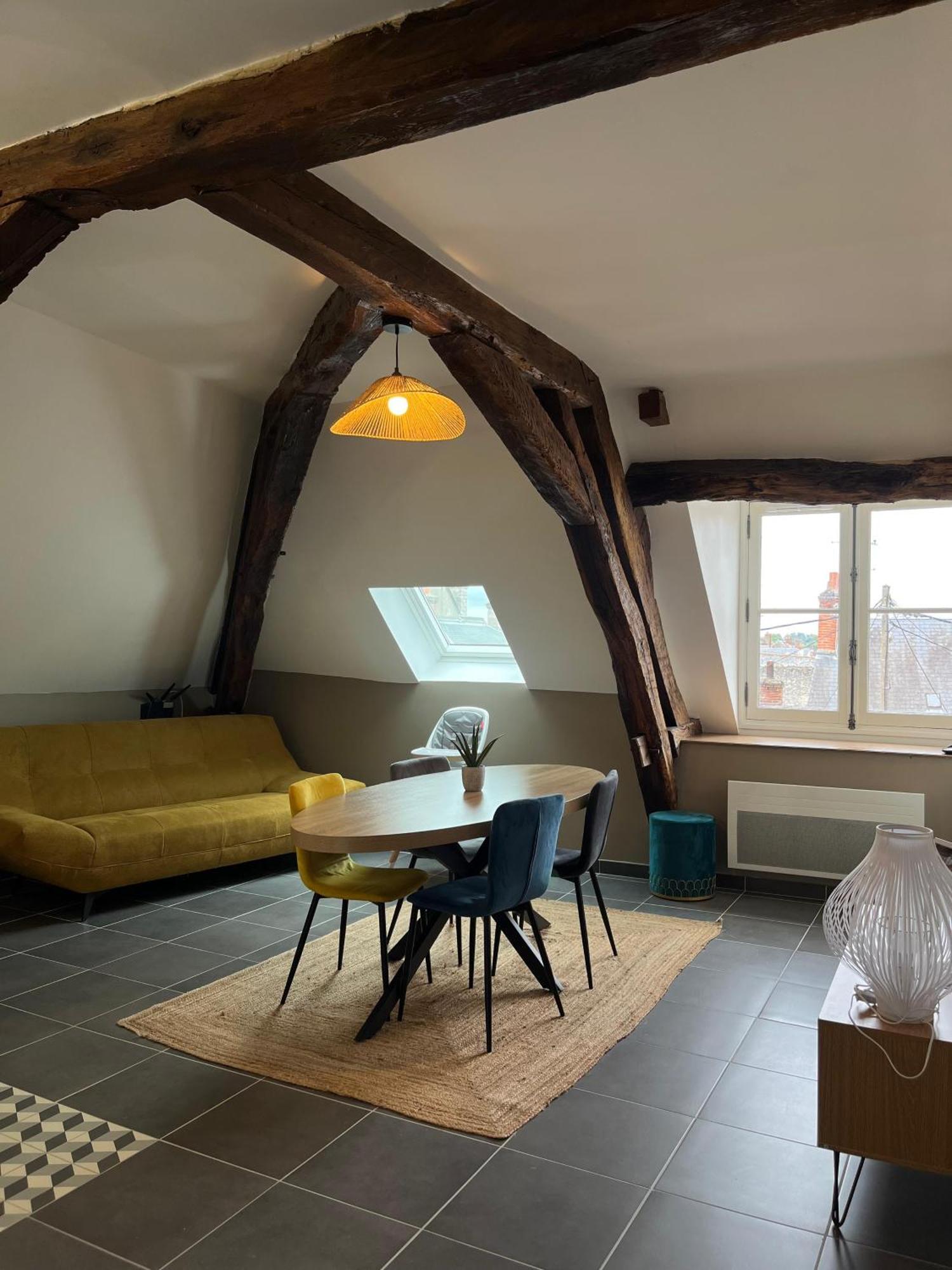 Quai De La Loire Apartment บลัวส์ ภายนอก รูปภาพ