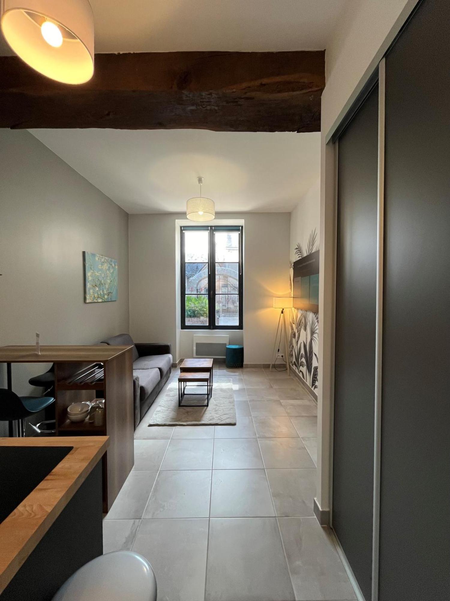 Quai De La Loire Apartment บลัวส์ ภายนอก รูปภาพ