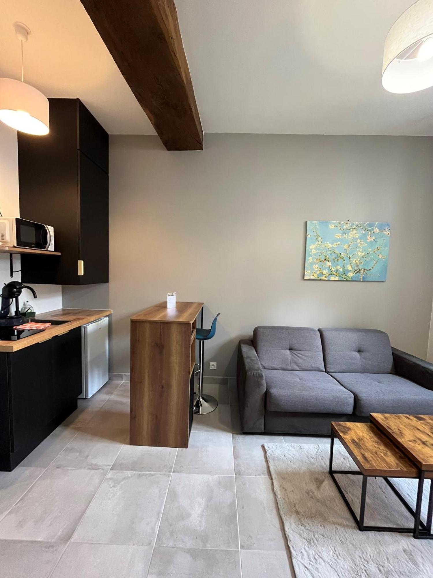 Quai De La Loire Apartment บลัวส์ ภายนอก รูปภาพ