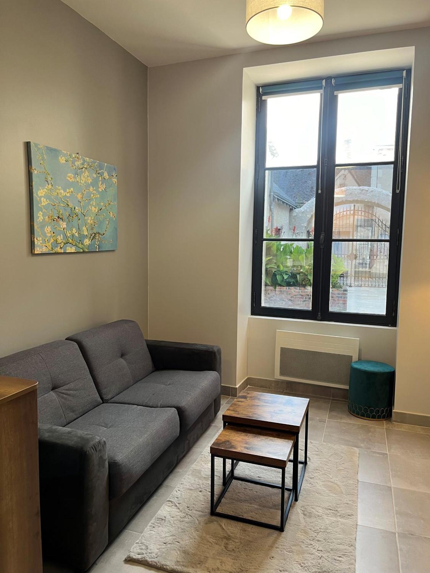 Quai De La Loire Apartment บลัวส์ ภายนอก รูปภาพ