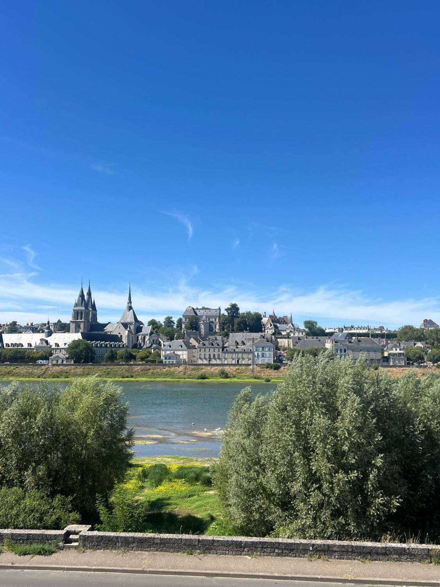 Quai De La Loire Apartment บลัวส์ ภายนอก รูปภาพ
