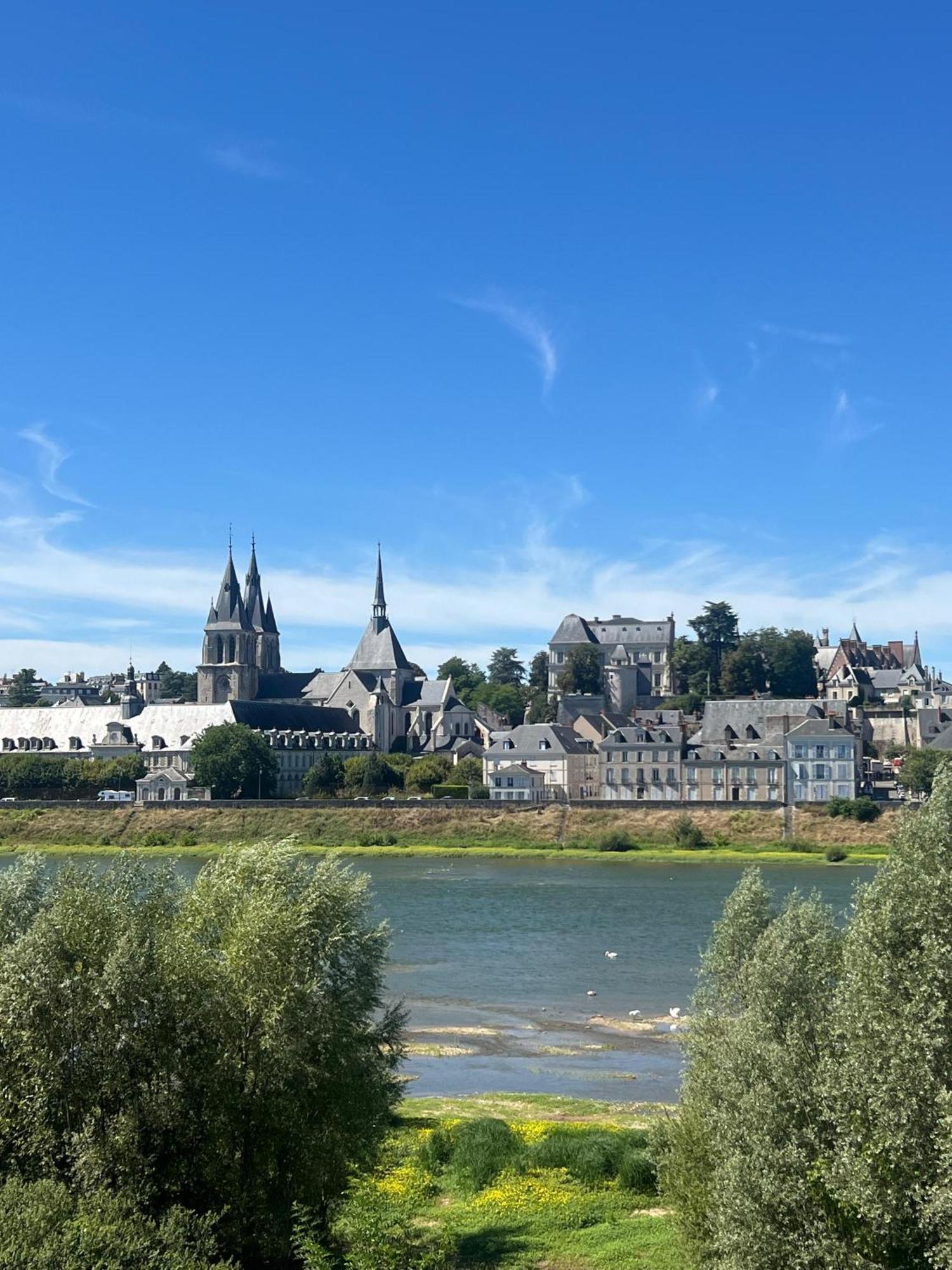 Quai De La Loire Apartment บลัวส์ ภายนอก รูปภาพ